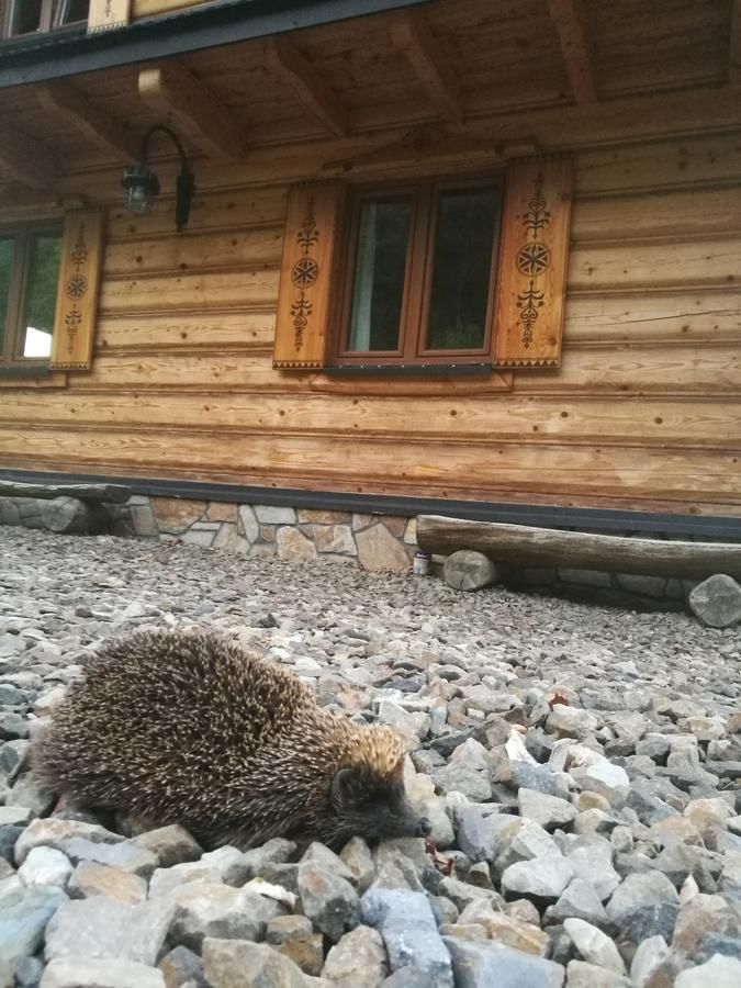 Проживание в семье Przystań Gromadzyń Устшики-Дольне-39
